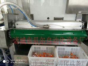 廠家直銷(xiāo)滾動(dòng)式食品真空包裝機(jī),休閑食品包裝機(jī)械